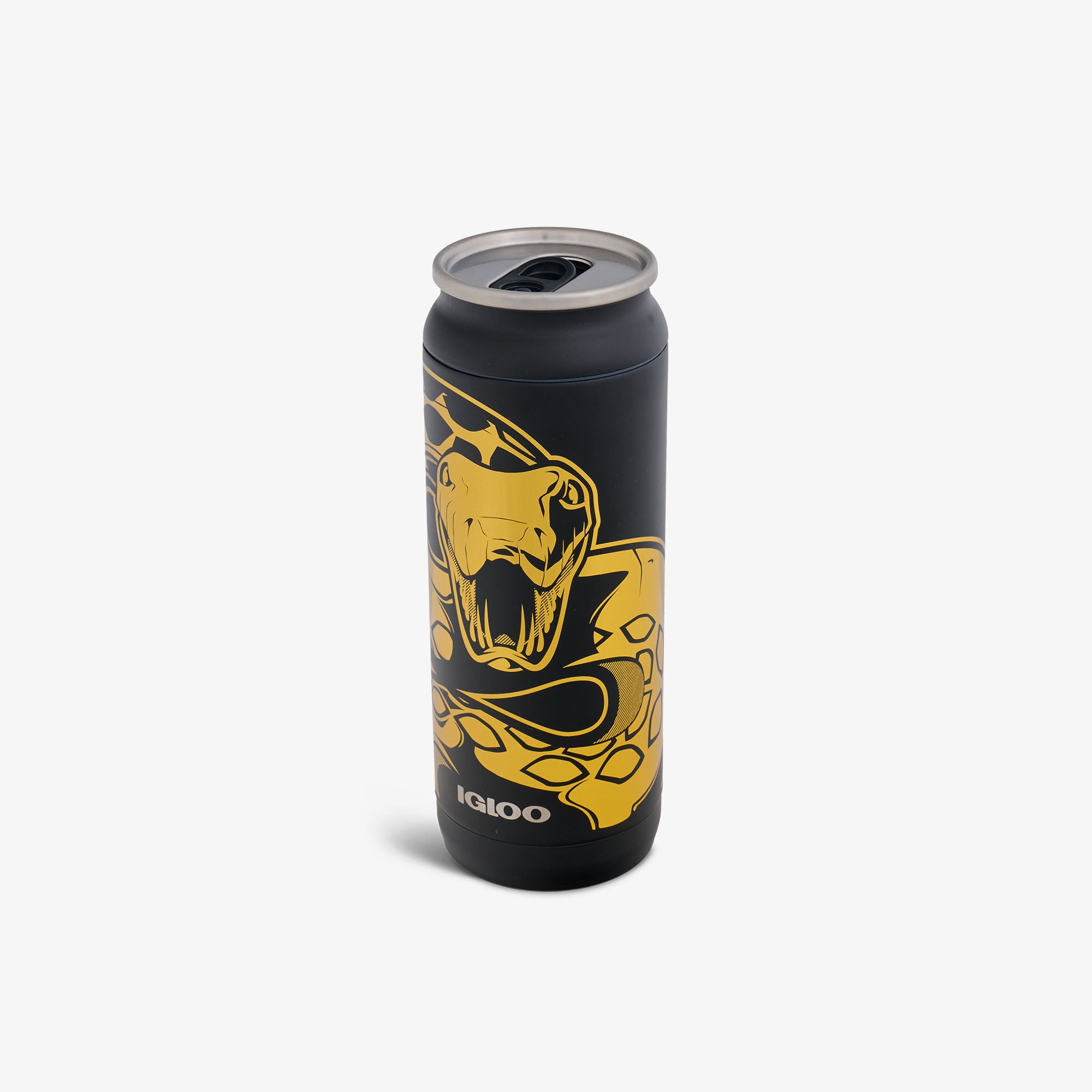 HARRY POTTER Dark Arts? Nagini 16 Oz Can - Image 2