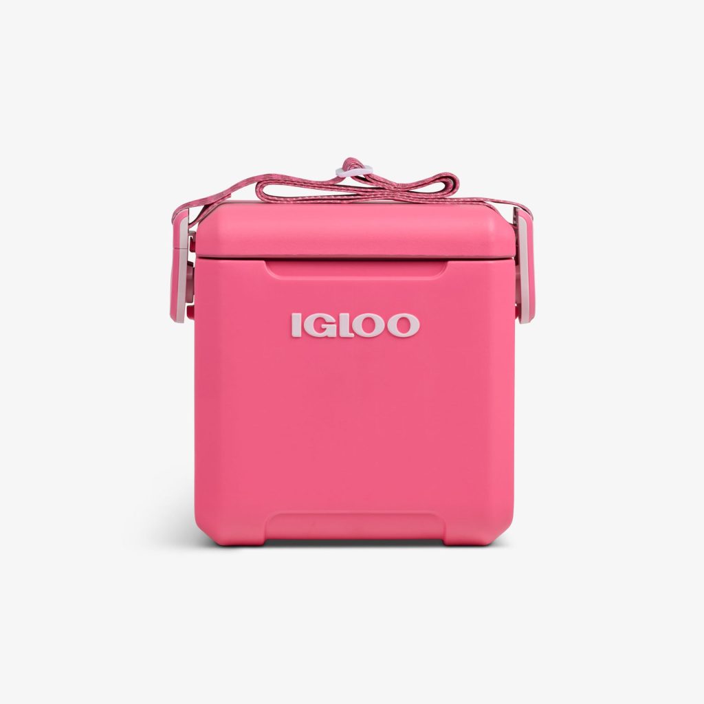 Tag Along Too Remix Cooler