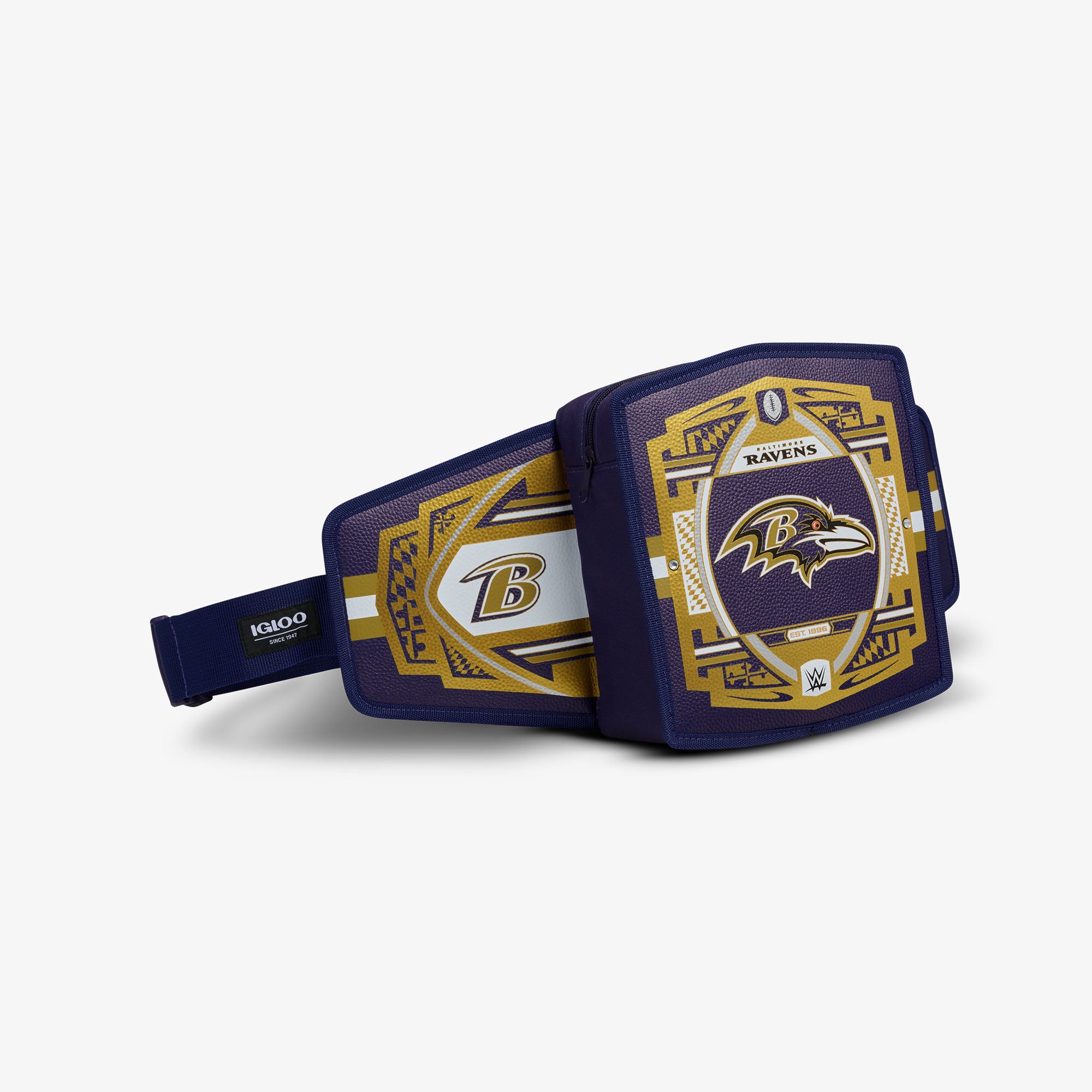 NFL WWE Cooler Fanny Pack - Image 99