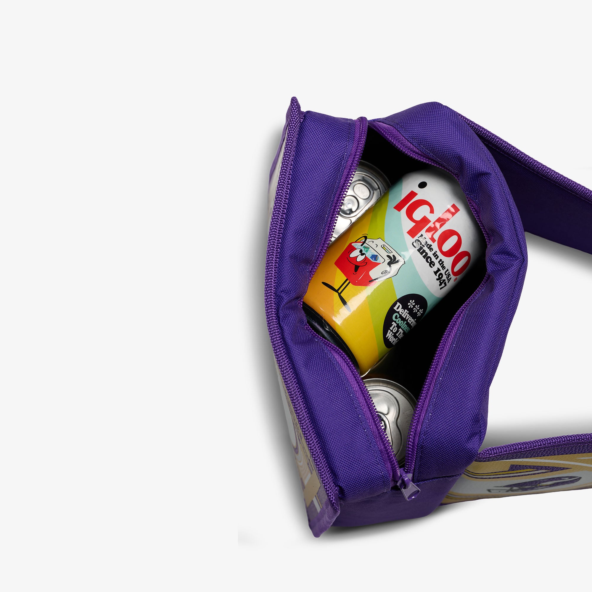 NFL WWE Cooler Fanny Pack - Image 58
